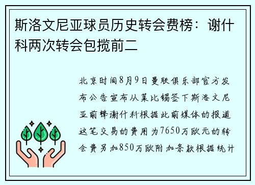 斯洛文尼亚球员历史转会费榜：谢什科两次转会包揽前二